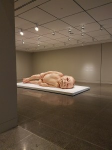 Art Sculpture by artist Ron Mueck at Museum of Fine Arts Houston