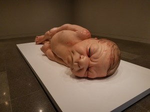 Art Sculpture by artist Ron Mueck at Museum of Fine Arts Houston